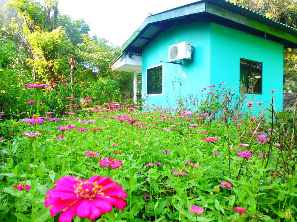 סיגירייה The Nilmini Lodge חדר תמונה